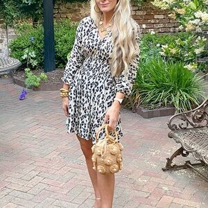 Leopard Print Dress